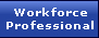 Workforce Professionals