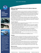 Image of cover for Marine Mammal Stock Report
