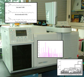 A Gas Chromatograph/Mass Spectrometer