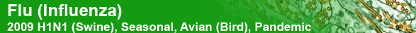 Flu (Influenza): 2009 H1N1 (Swine), Seasonal, Avian (Bird), and Pandemic