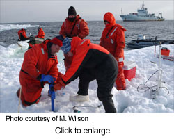 ice coring study