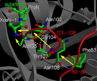 proteincyclophilin A simulated on Cheetah supercomputer