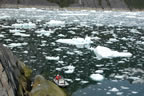 photo of glacier or iceberg