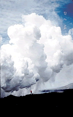 White acid-rich steam plume rises from lava flows entering the sea