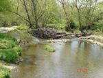 Location 21 - Looking downstream from Zeitler Road bridge over Little Elk Creek