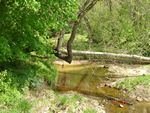 Location 21 - High-flow side channel of Little Elk Creek at Gravelly Run