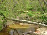 Location 22 - High-flow side channel of Little Elk Creek at Gravelly Run