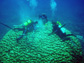 In 2005, Professor Rob Dunbar and his colleagues collected core samples from a large coral colony near Easter Island. That colony is about the same size as the coral reef that was the focus of Dunbar’s Kenya study