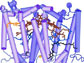 The structure of the L and M subunits of the photosynthetic reaction center from Rhodobacter sphaeroides (based on PDB entry 1PCR). The protein is represented in purple, the cofactors are represented in red, blue, black and yellow