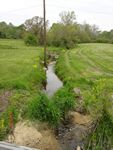 Location 37 - Dogwood Run at Maple Spring Road farm looking upstream, poor buffer