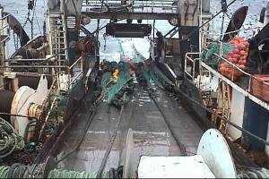 Twin trawl being brought on deck.