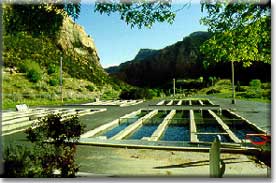 Jones Hole National Fish Hatchery