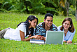 College students studying in the park.