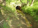 Location 1 - Culvert leading to ditch that drains into Little Elk Creek