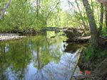 Location 3 - Looking upstream on Little Elk Creek with large woody debris