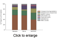 catch composition by gear type