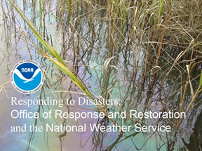 Responding to Disasters Title Slide