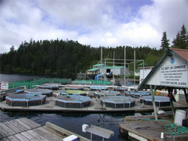 Little Port Walter Marine Station