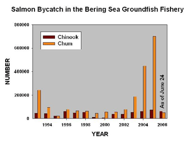 Salmon bycatch in the Bering Sea Groundfish Fishery