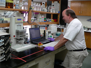 Scientist working in the ABL's genetics lab