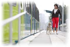 A woman with a guide dog walking a long a train platform.