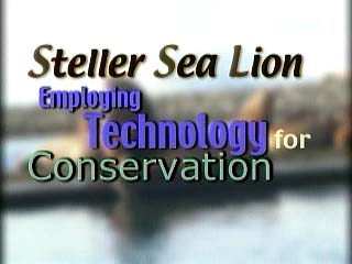 movie title:Steller Sea Lion Employing Technology for Conservation