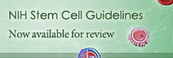 NIH Stem Cell Guidelines now available for review