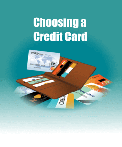 Choosing a Credit Card. Illustration of a card holder filled with credit cards with various credit cards behind it.