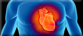 A graphic of a man's chest in blue with a heart drawn in red glow