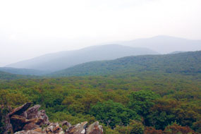 A summer view of distant mountains from Skyline Drive.