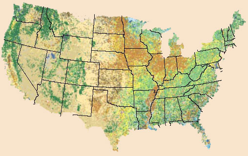 National Land Cover Dataset - US Image