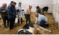 Volunteers’ support helps boost revenues for Belarusian farmers - Click to read this story