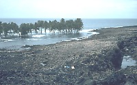 Strand line of tsunami wave at Halape, Hawai`i