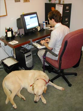 Visually-impaired employee using a computer.