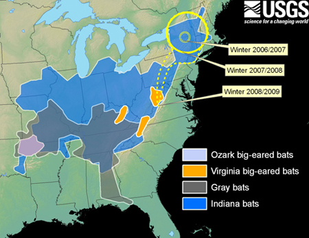 Map illustrating the distribution of endangered species of hibernating bats in relation to the expanding distribution of White-Nose Syndrome.