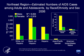 Slide 7: Northeast Region—Estimated Numbers of AIDS Cases among Adults and Adolescents, by Race/Ethnicity and Sex 2006

In the Northeast more males than females were given a diagnosis of AIDS in 2006:  2.2 males for every female.

Of males in this region who were given a diagnosis of AIDS during 2006, most were blacks, followed by whites, Hispanics, Asians/Pacific Islanders, and American Indians/Alaska Natives.  

Of females in this region who were given a diagnosis of AIDS during 2006, most were blacks, followed by Hispanics, whites, Asians/Pacific Islanders, and American Indians/Alaska Natives.

The data have been adjusted for reporting delays.

The states in the Northeast are Connecticut, Maine, Massachusetts, New Hampshire, New Jersey, New York, Pennsylvania, Rhode Island, and Vermont.