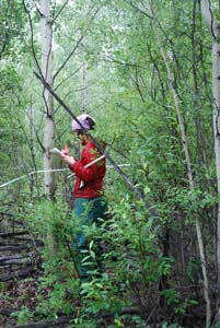 Picture of Dr. Barrett in the field collecting data.