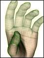 Photo of palm biometric
