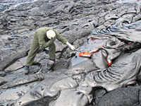 An HVO geologist takes a sample of lava from an active pāhoehoe lobe in the upper reaches of Royal Gardens subdivision. 