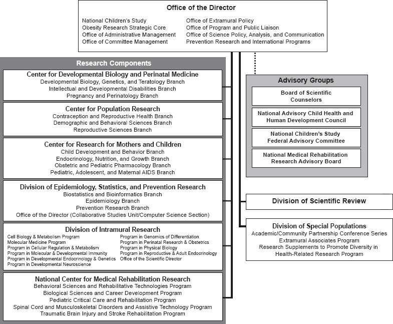 Organization Chart