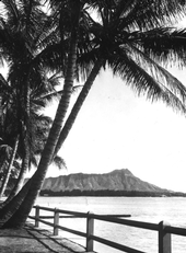 [A] beach [in] Honolulu, Oahu, Hawaii