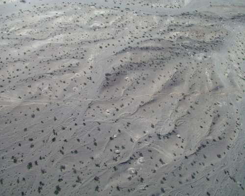 Aerial Photo of the Surface Rupture: Fracture running along hillside in low-relief topography with offset gullies and tracks. (CA, USA)