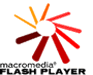 Link to Flash Player Download