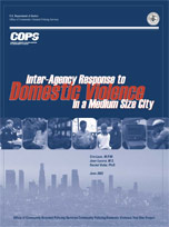 Inter-Agency Response to Domestic Violence in a Medium Sized City