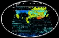 FOCI Visualizations