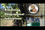Protecting Geographical Indications graphic