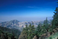 San Bernardino National Forest, California.