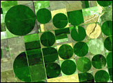 Crop Circles in Kansas