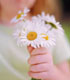 Child with daisies