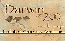 Darwin 200 Logo